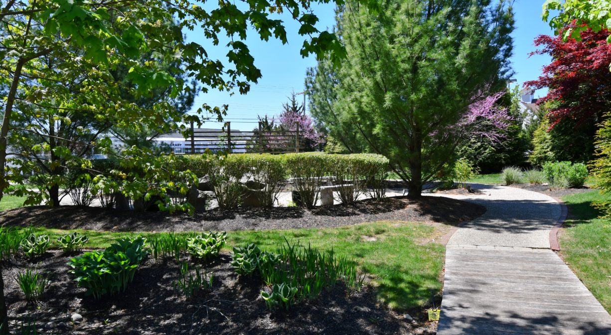 A photograph of a walkway into a grassy park.