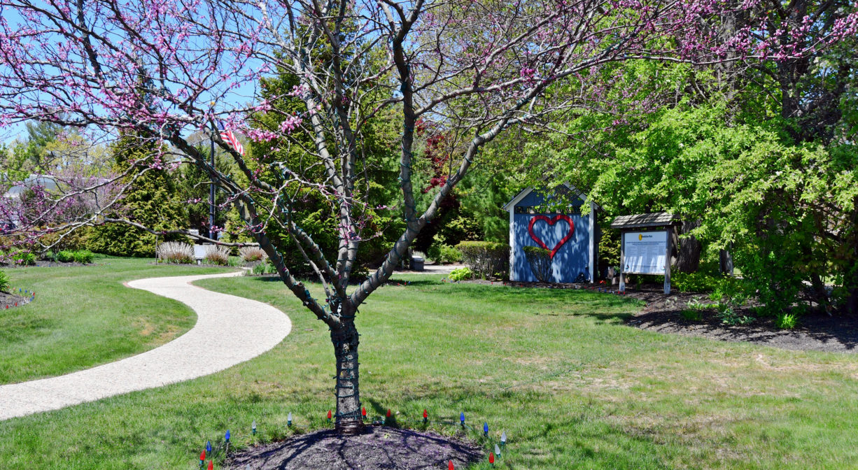 A photograph of a small grassy park with a walking trail and ornamental plantings.