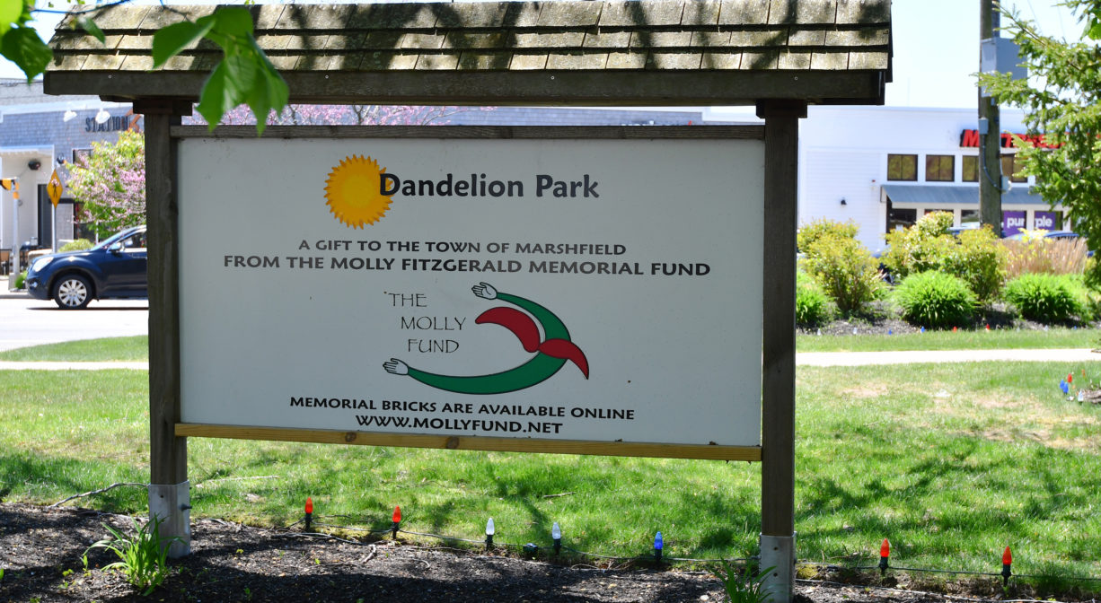 A photograph of a property sign in a grassy park.