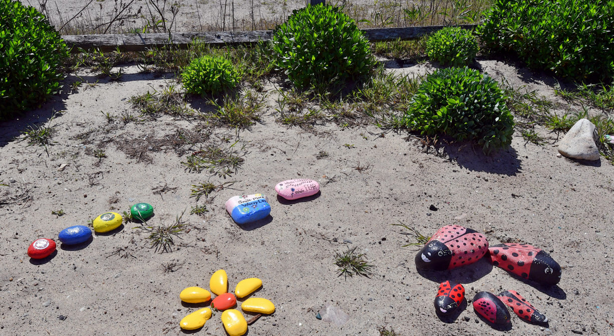 A photograph of painted stones on beach sand, with scattered ornamental plantings.