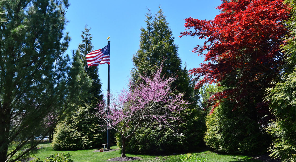 A photograph of a grassy park with an American flag and ornamental plantings