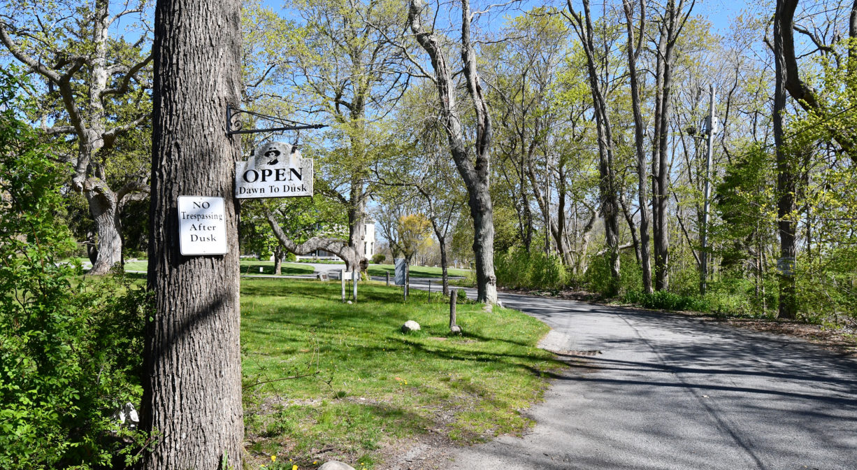 A photograph of a driveway lined with trees and lawn.