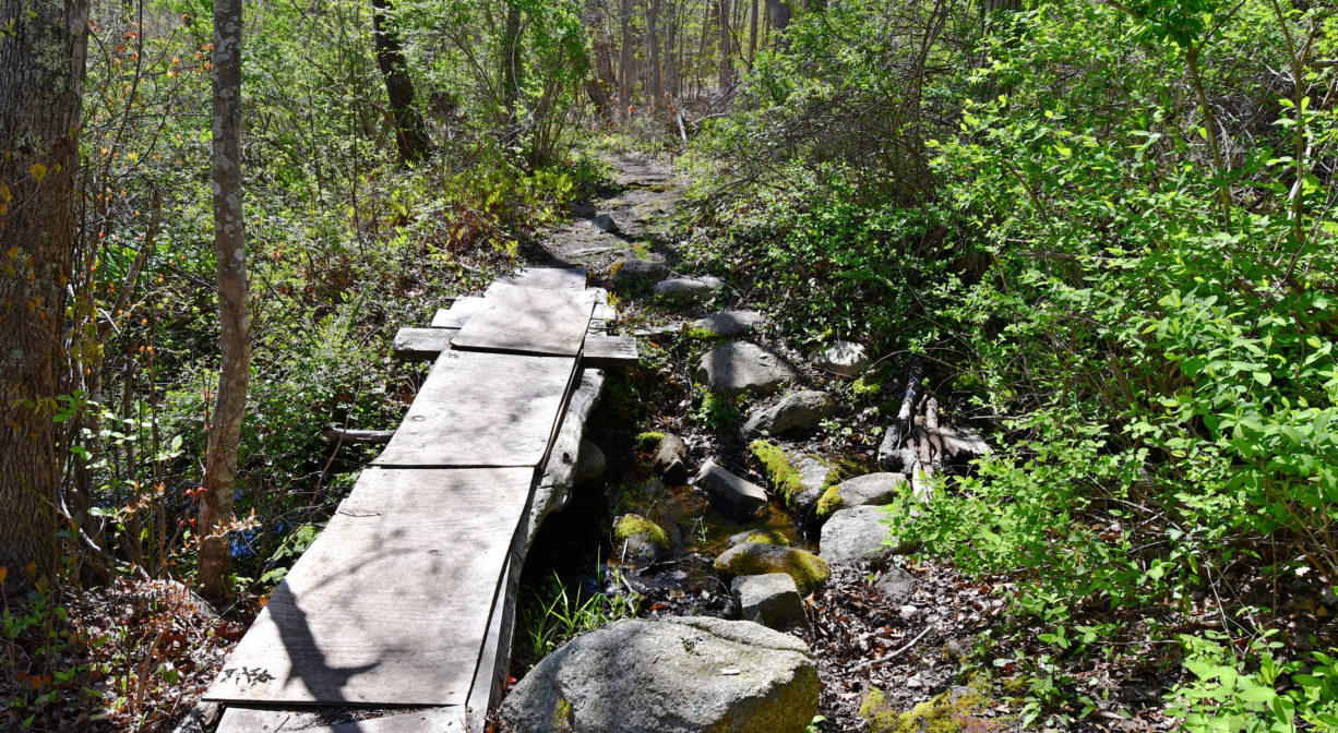 A photograph of a footbridge over a stream.