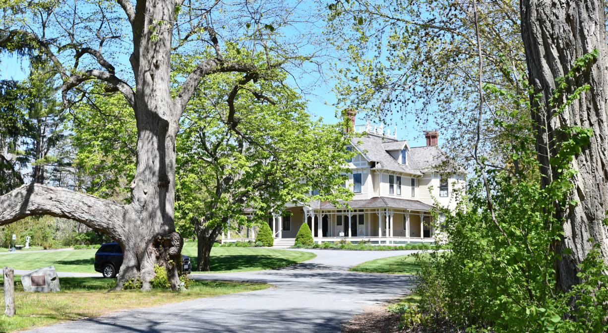 A photograph of a driveway leading to a historic estate with trees in the foreground.
