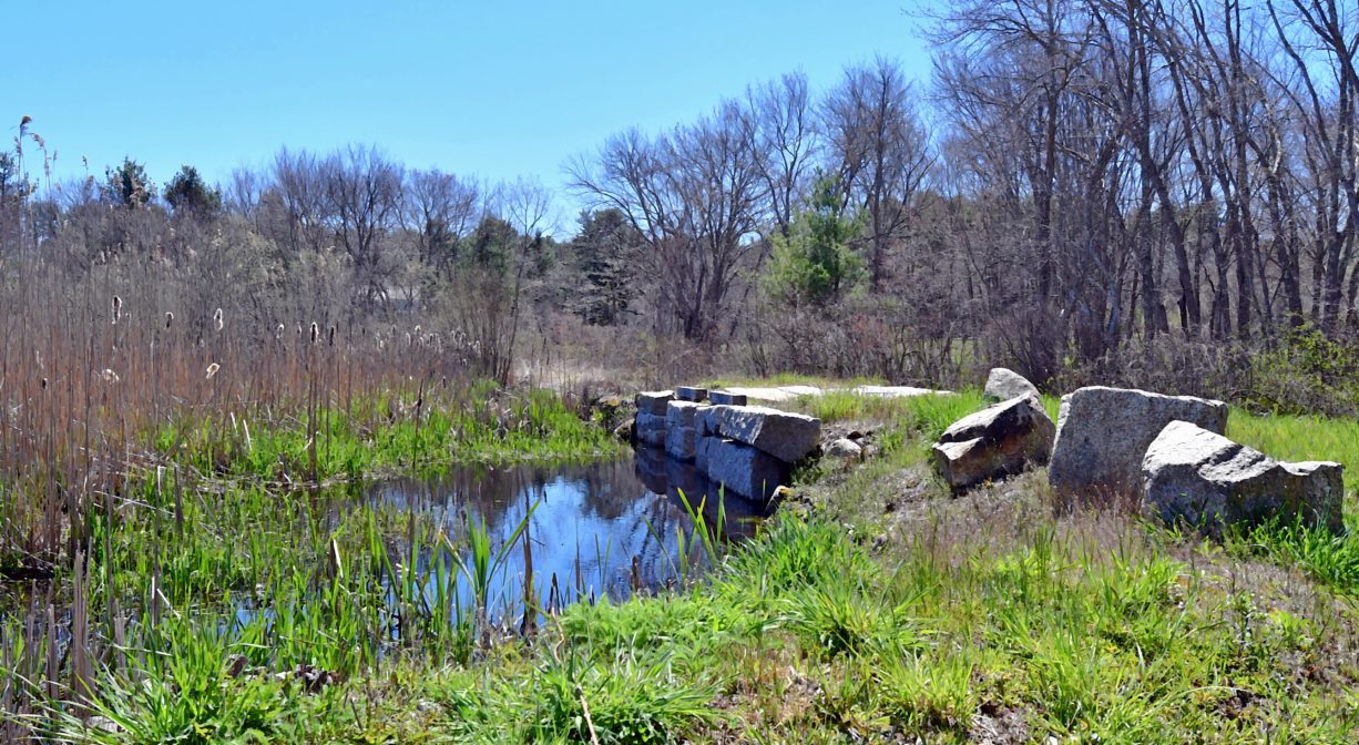 A photograph of a mill pond with trees in the distance.