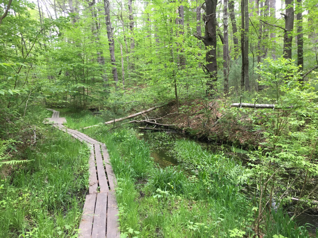 Nature Walks in Duxbury 12 Places to Explore North and South Rivers