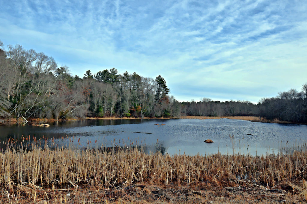 Nature Walks in Duxbury 12 Places to Explore North and South Rivers