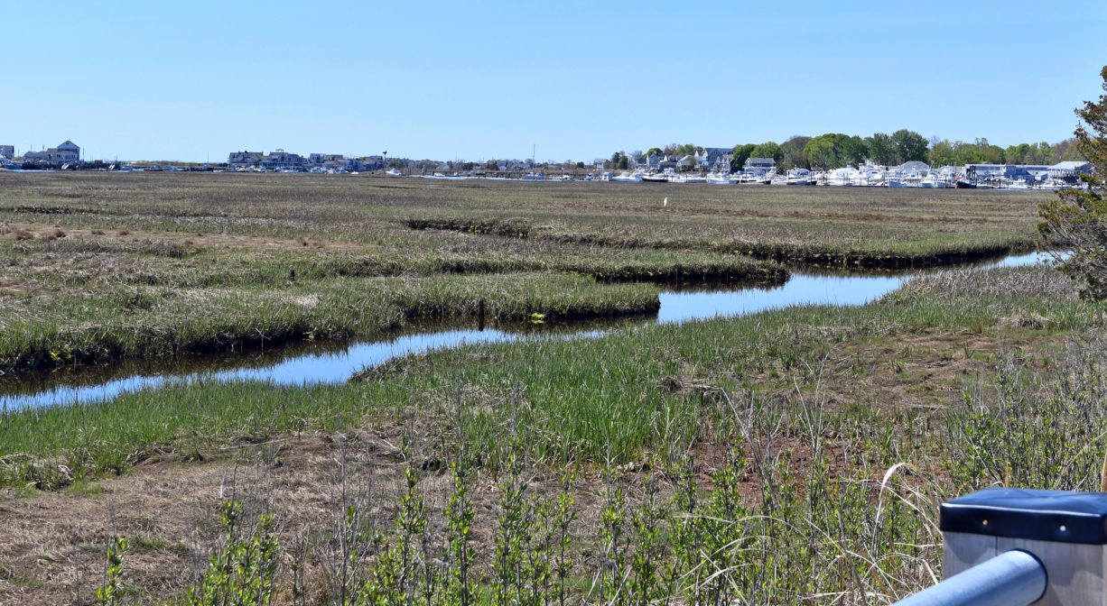 A photograph of a marsh creek as viewed from a paved walkway.