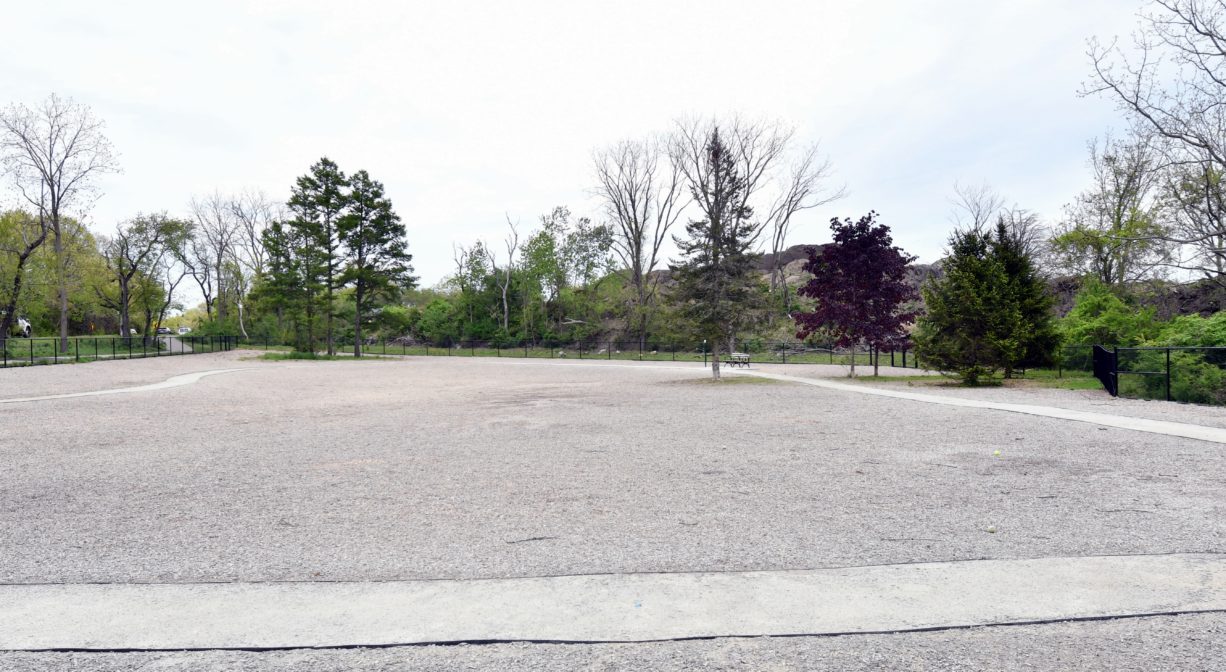 A photograph of the interior of a dog park.