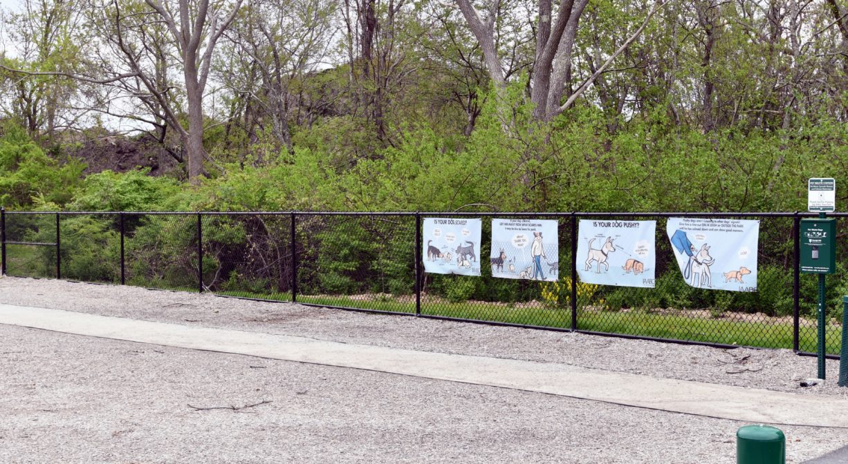 A photograph of the interior of a dog park.