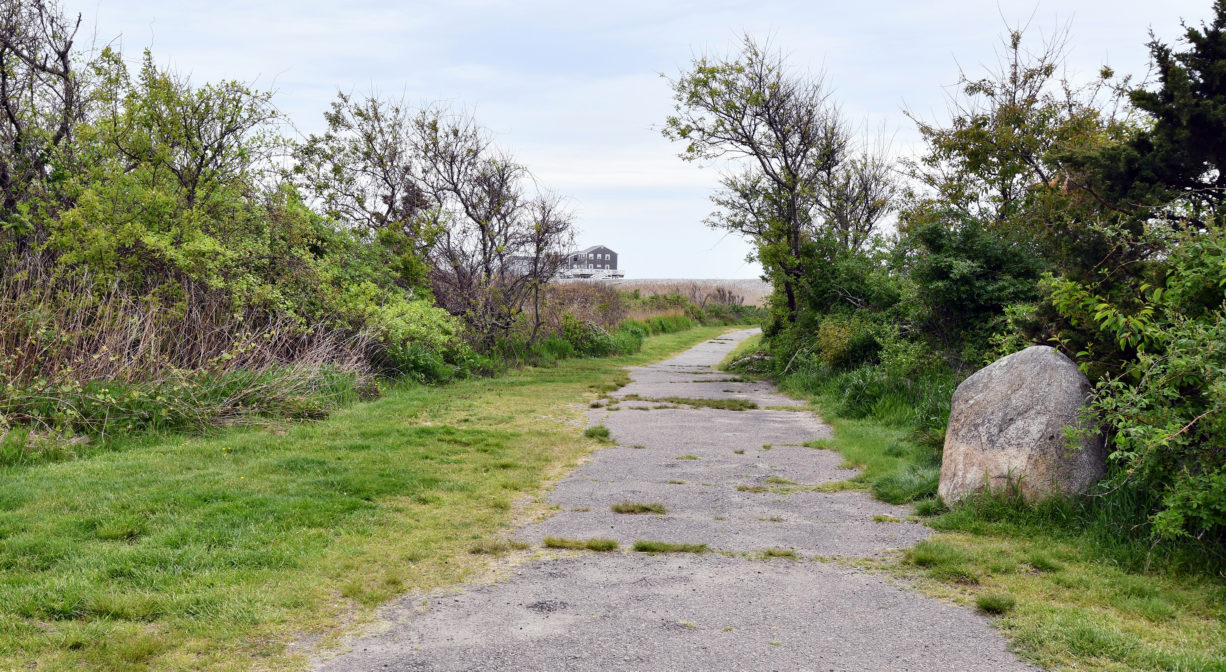 A paved path through a green area with a beach in the distance.