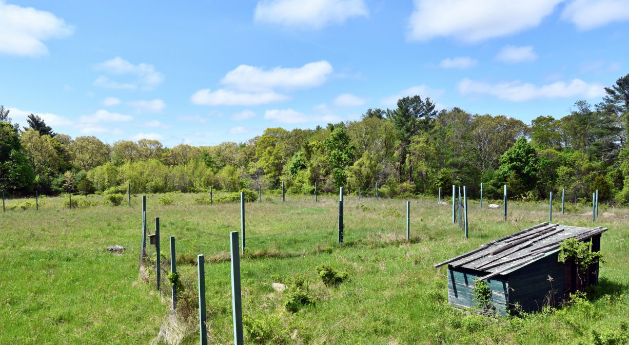 A photograph of a green agricultural field with some fence in the foreground and a small shed.