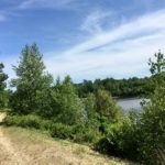 A photograph of a trail beside a reservoir with scattered pine trees.