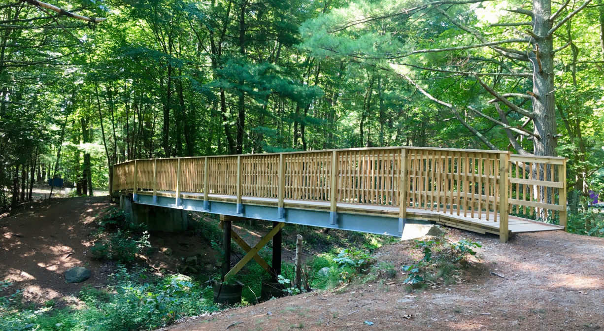 Long wooden bridge in forest setting.