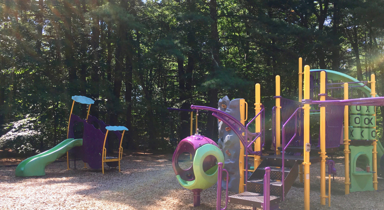 Photograph of contemporary playground equipment with trees in the background and wood chips underfoot.