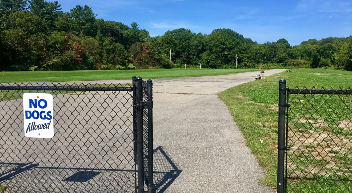 Photograph of open entrance gate with 