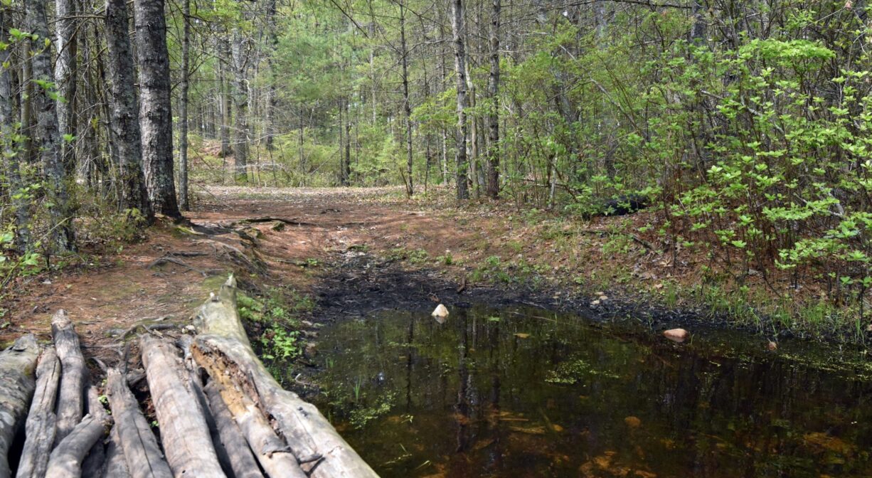 A photograph of a stream crossing with logs.