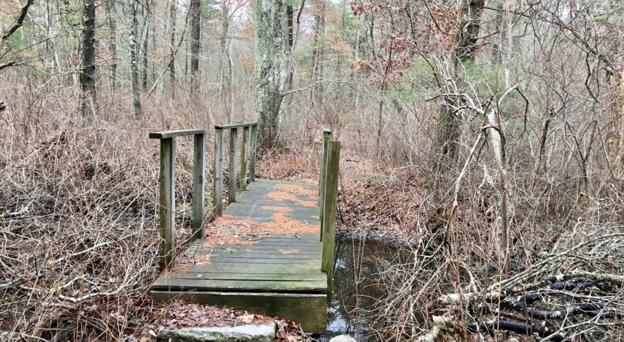 A photograph of a wooden footbridge crossing a stream.