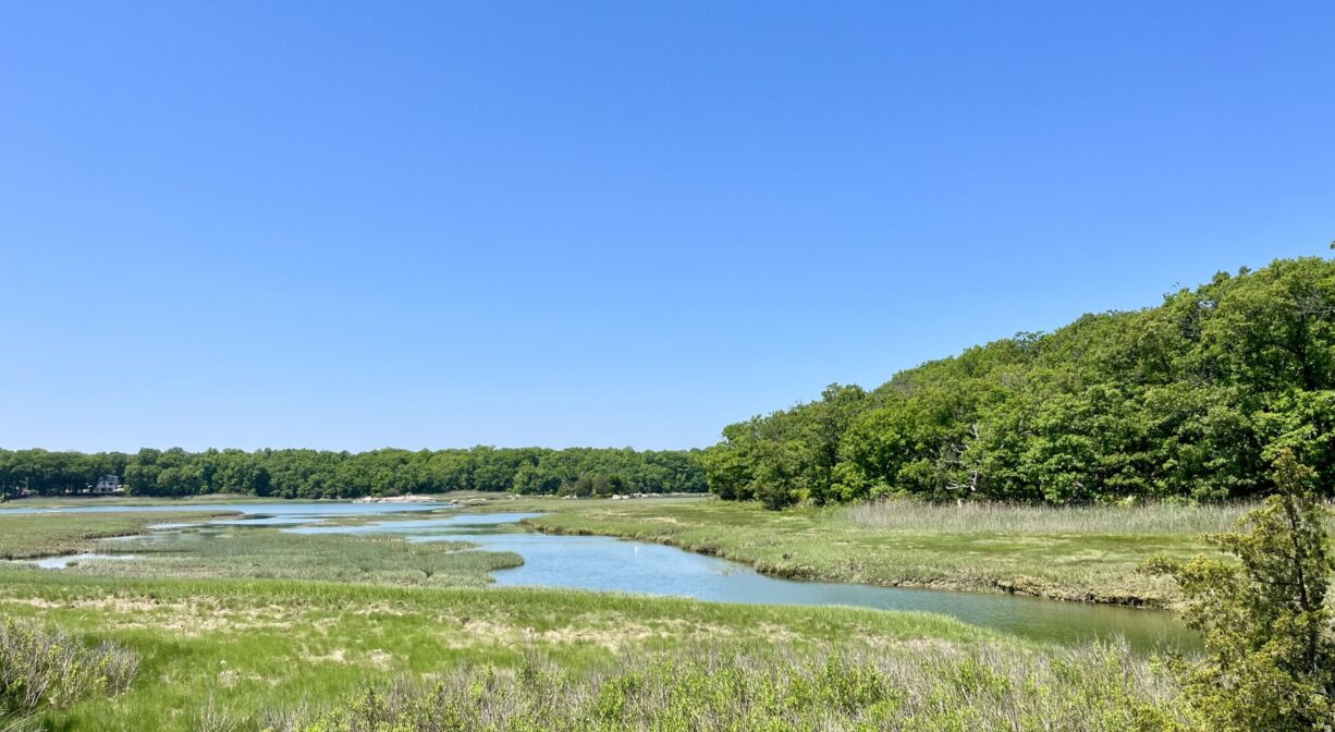 A photograph of a river and a salt marsh.