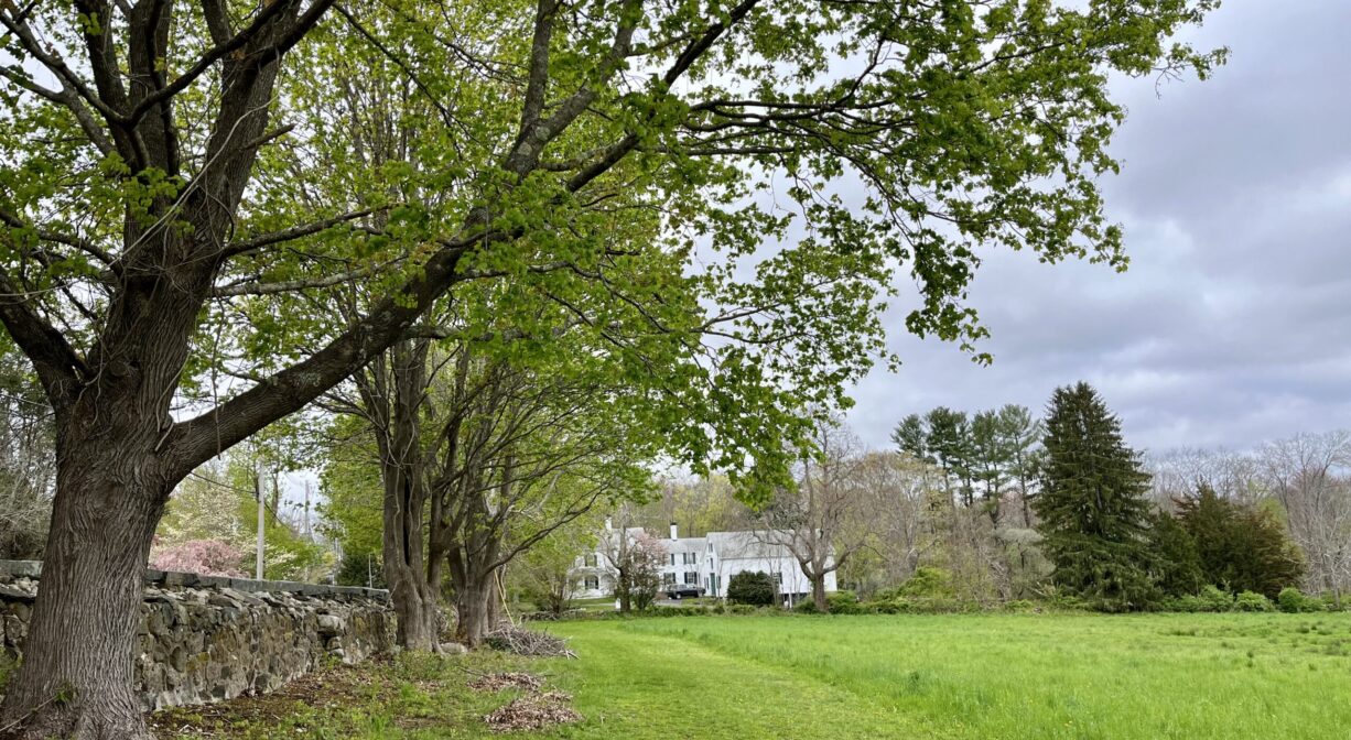 A photograph of a trail across a grassy field with a house in the distance.