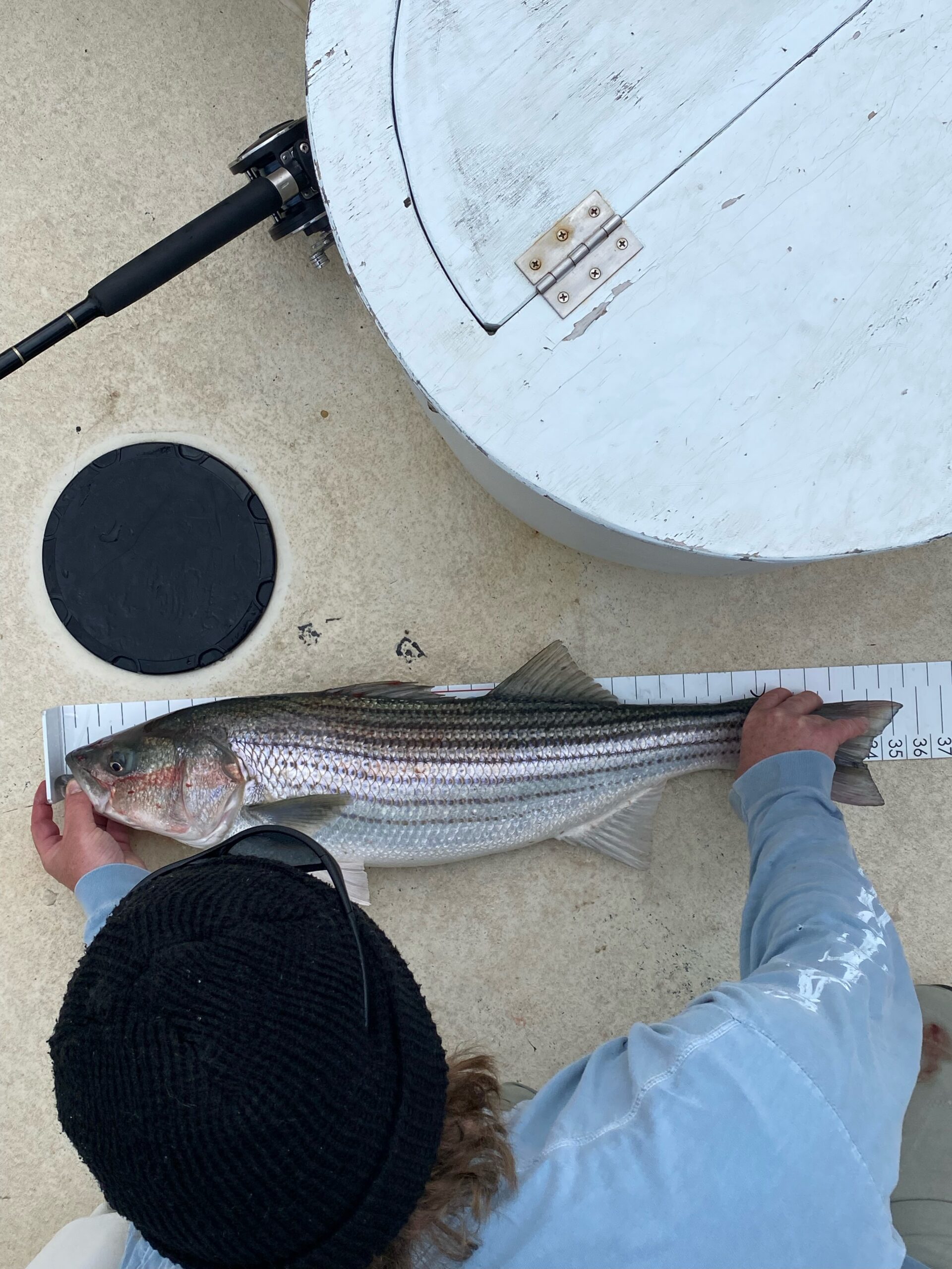 2023 Striper Tournament Leaderboard North and South Rivers Watershed