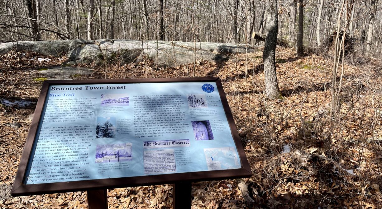 A photograph of an interpretive sign in a forest with a rocky outcropping in the background.