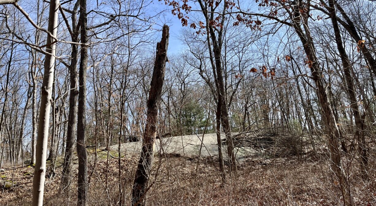 A photograph of a granite-topped hill within a forest.