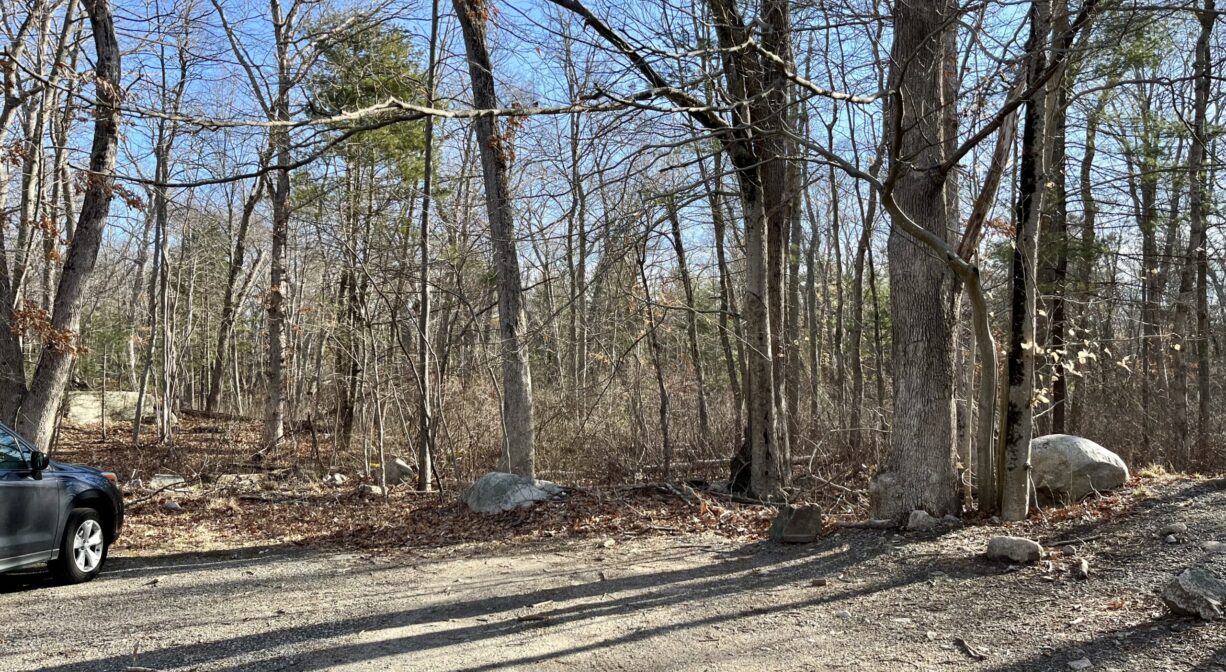 A photograph of a small unpaved parking area beside a forest.