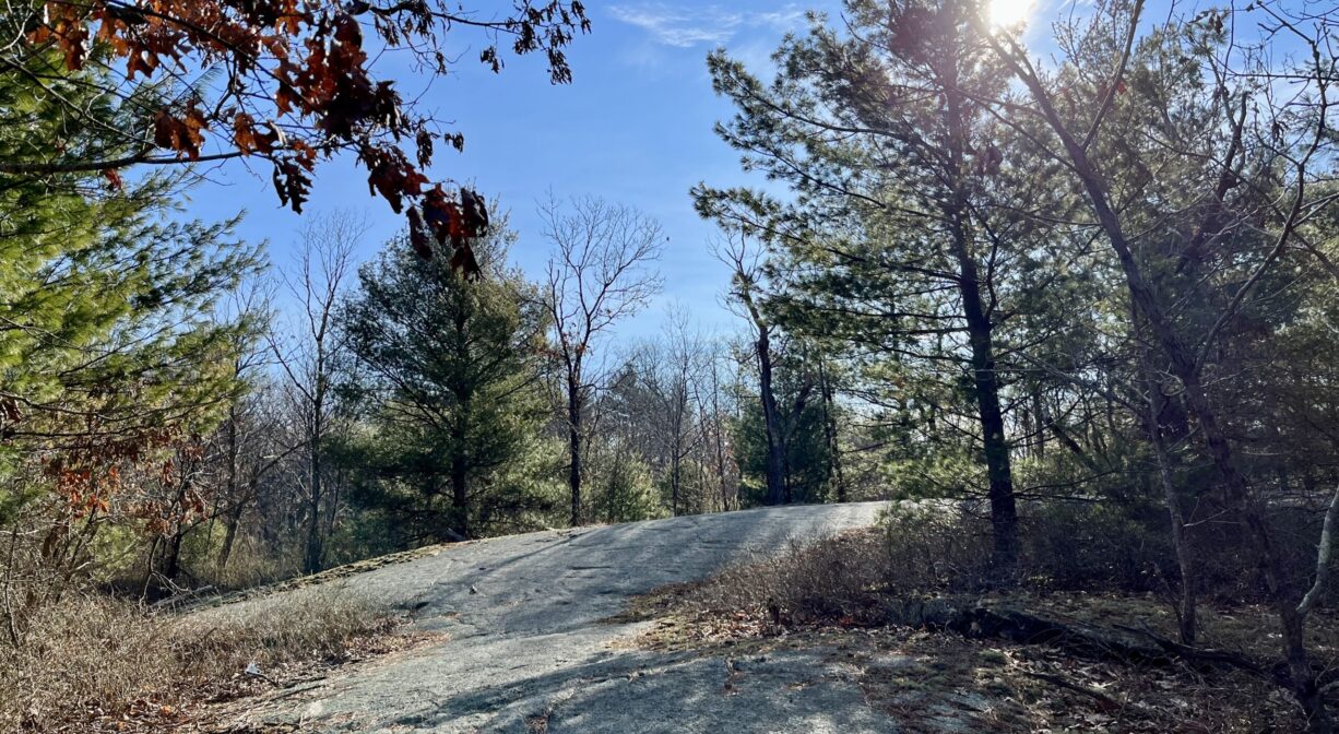 A photograph of a granite-topped hill, with scattered trees.