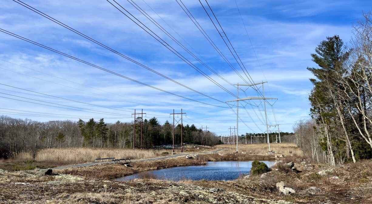 A photograph of a pond within a grassy power easement.