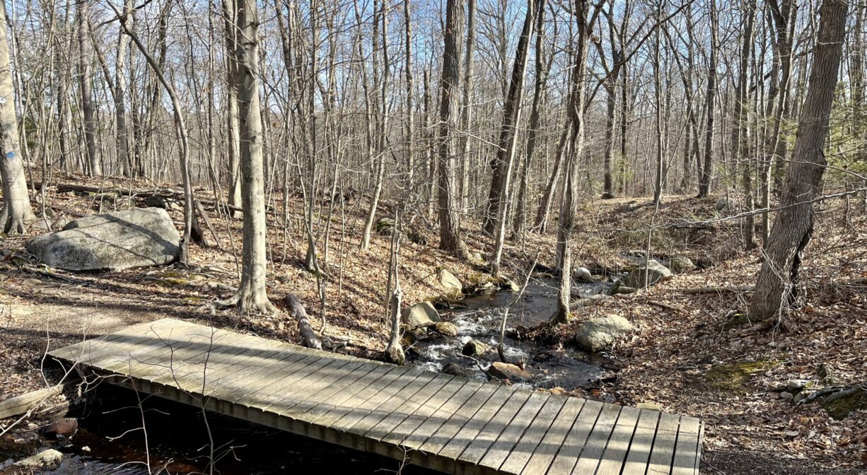 A photograph of a wooden bridge across a forest stream.