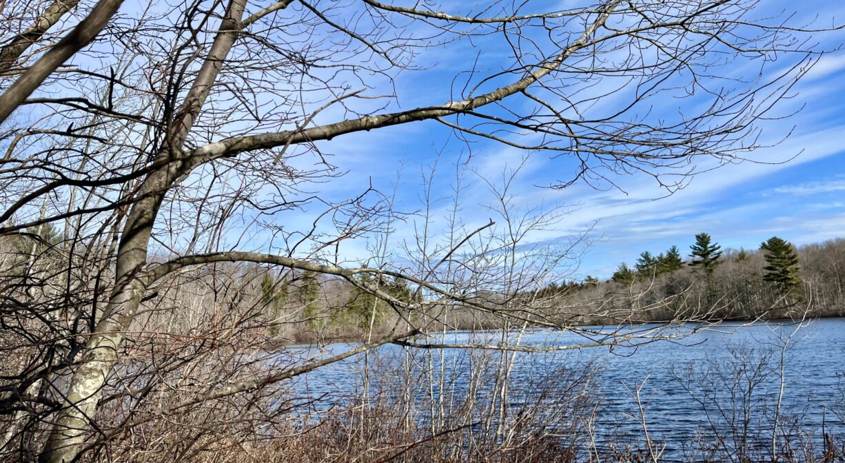 Maquan Pond and Cranberry Cove - North and South Rivers Watershed