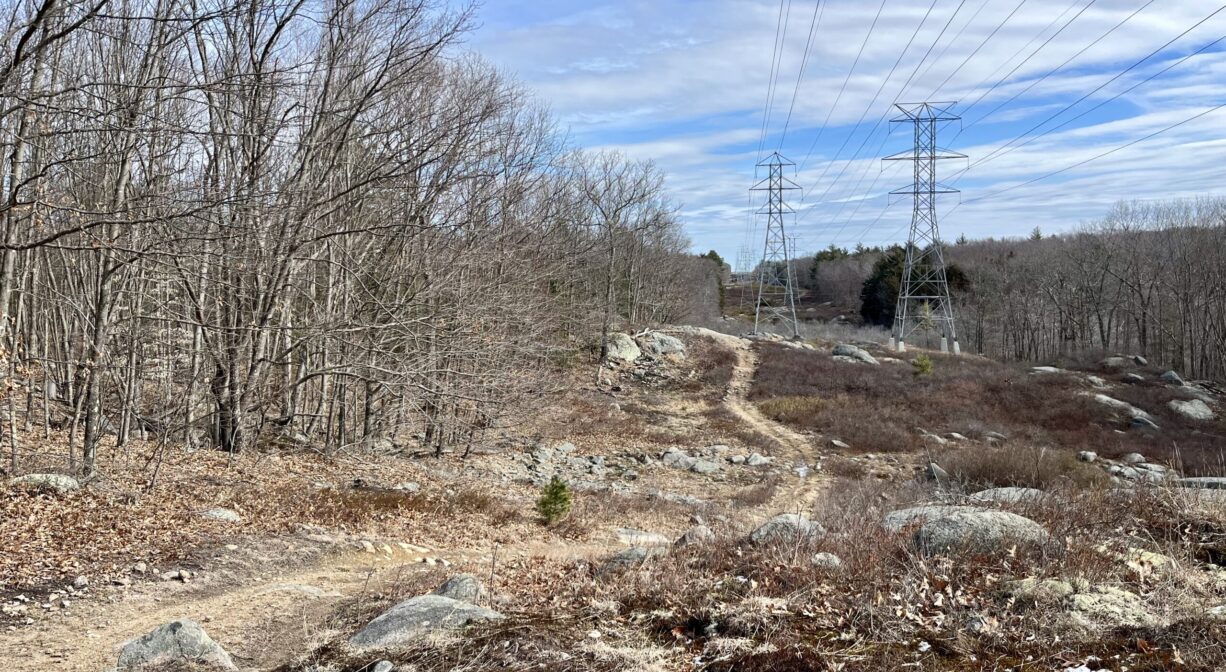 A photograph of a trail across a power easement, with some trees to one side.