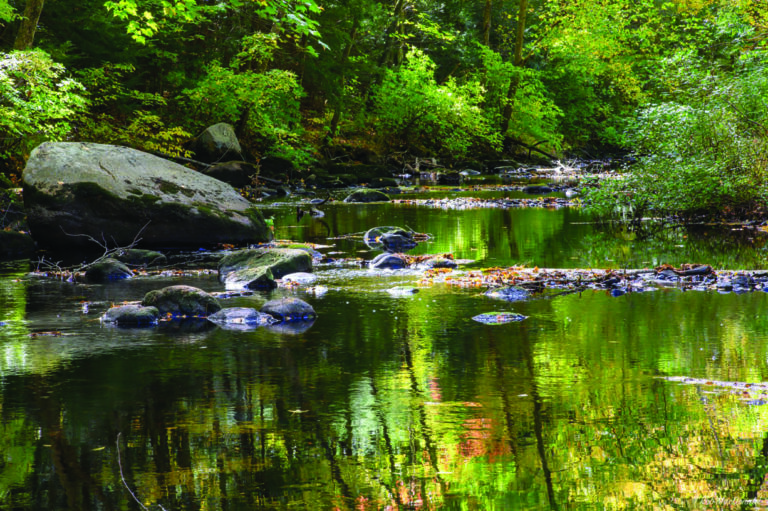 Indian Head River Restoration North and South Rivers Watershed