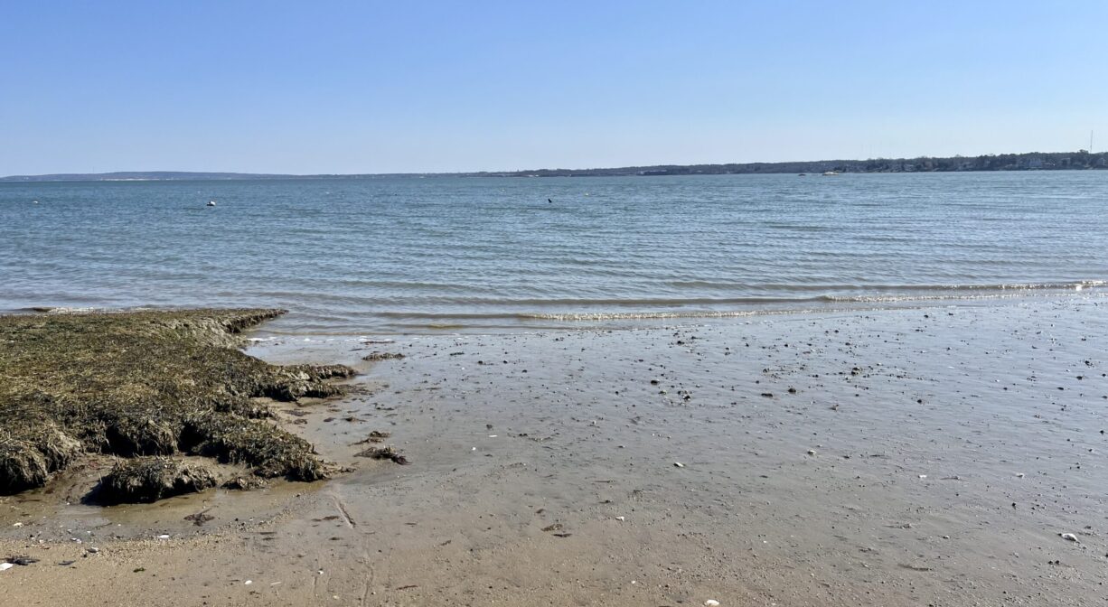 A photograph of an ocean beach.