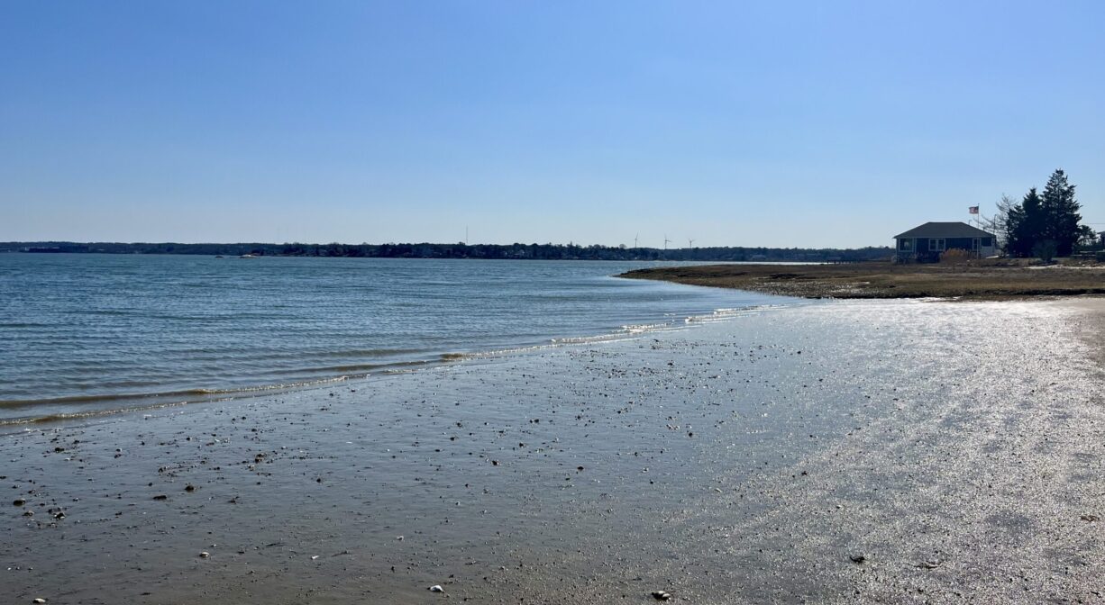 A photograph of a sandy ocean beach at low tide.