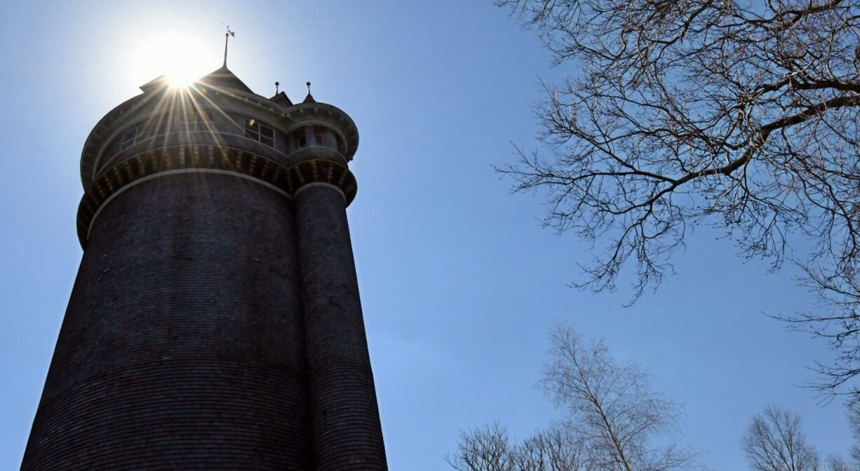 A photograph of an ornate tower with the sun shining behind it plus some tree branches.