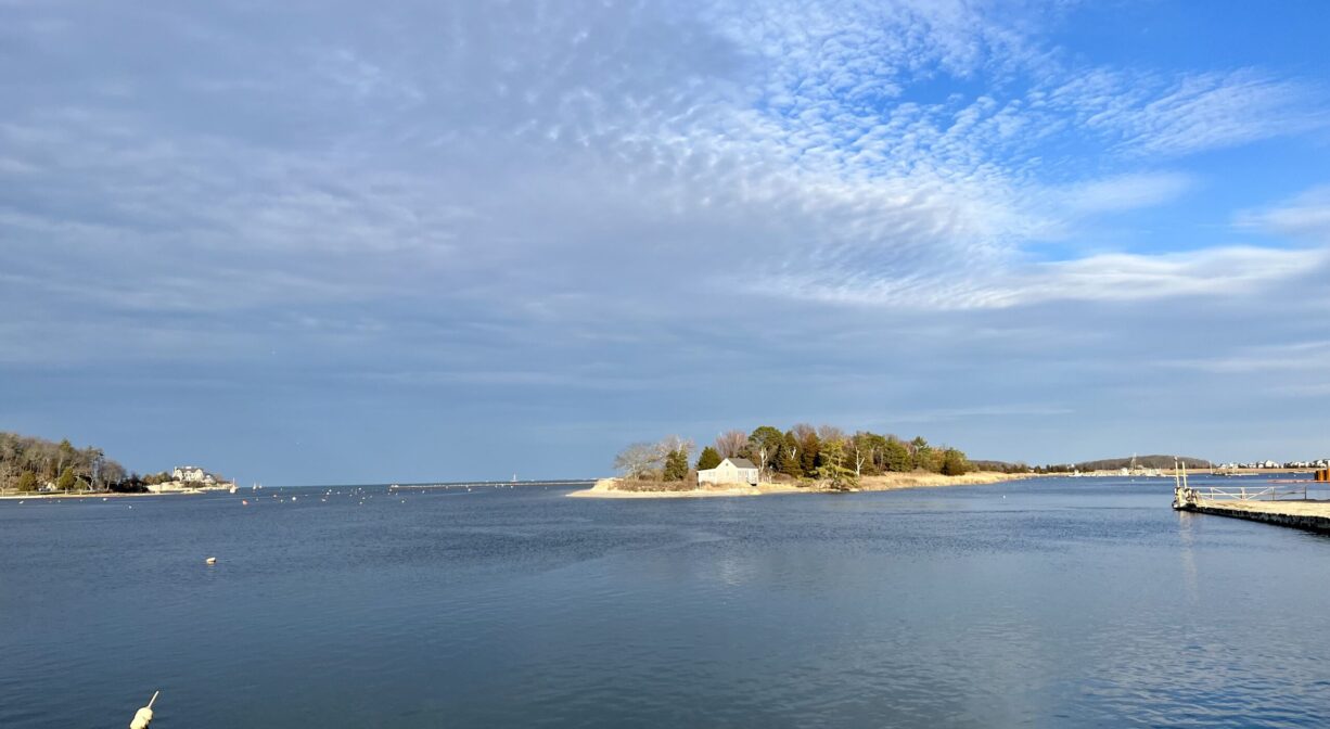Photograph across the water of a small beach island with trees.