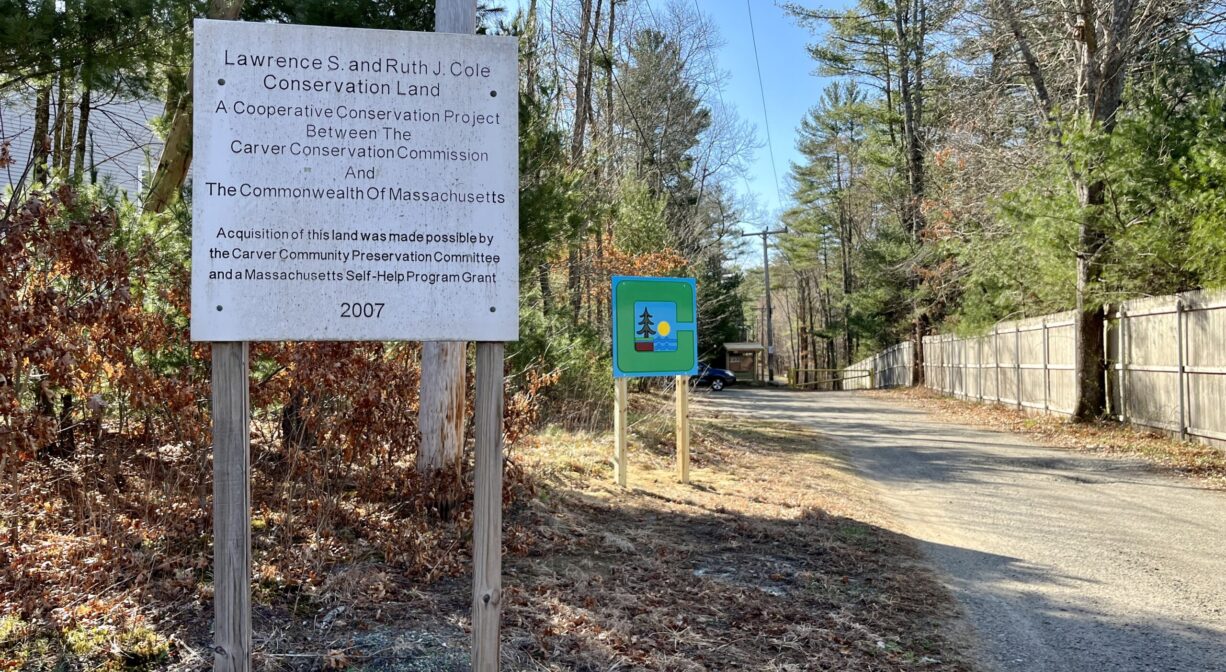 A photograph of an entrance road with two property signs.