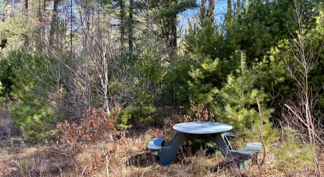 A photograph of a picnic table with trees in the background.
