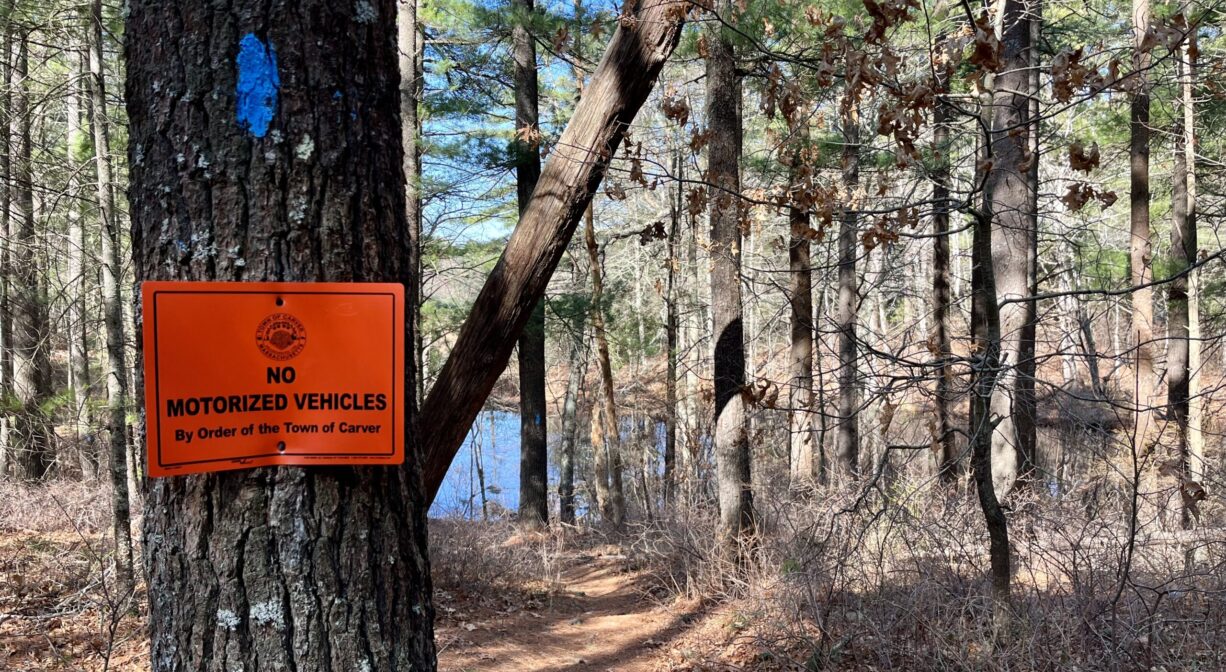 A photograph of a trail through a forest. There are colorful signs on one tree.