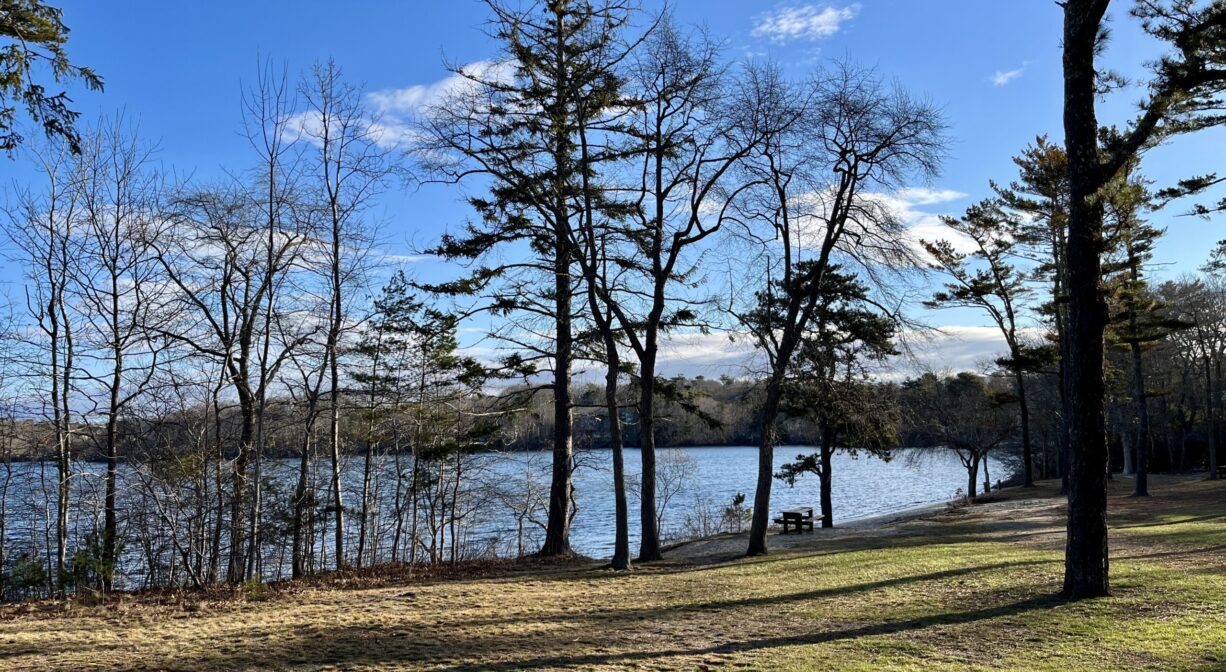 A photograph of a grassy park beside a pond.