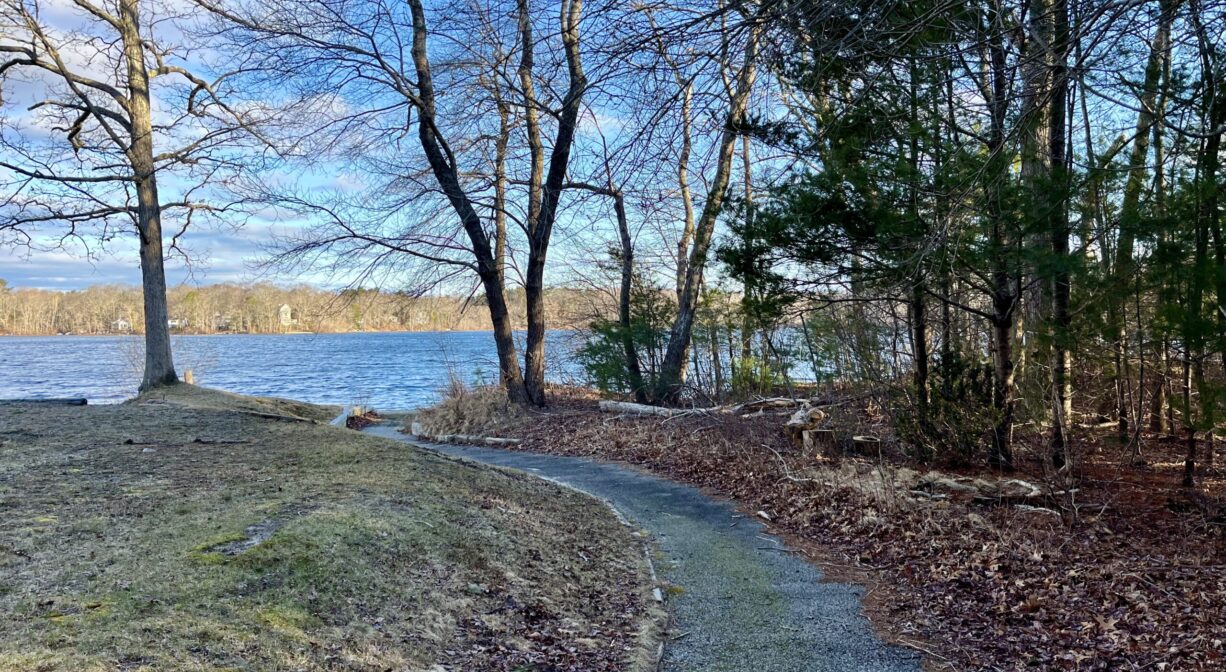 A photograph of a paved trail leading across a grassy area to a pond, with scattered trees.