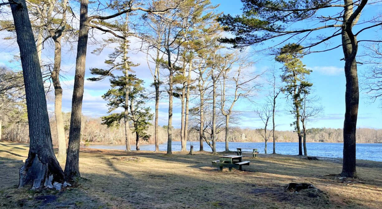 A photograph of a grassy park beside a pond with picnic tables.