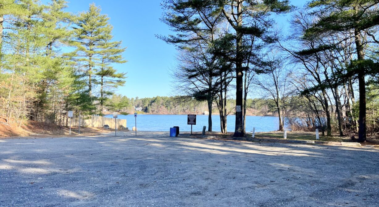 A photograph of a beach beside a pond with scattered trees.