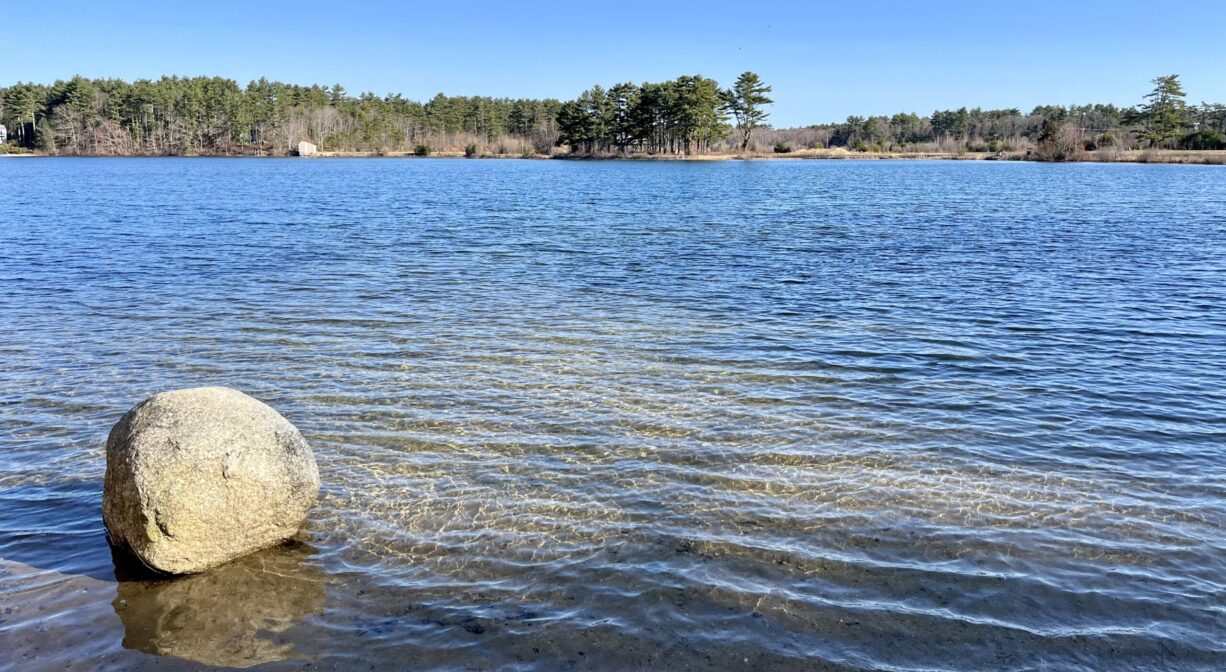 A photograph of a pond with a single large rock in the foreground.