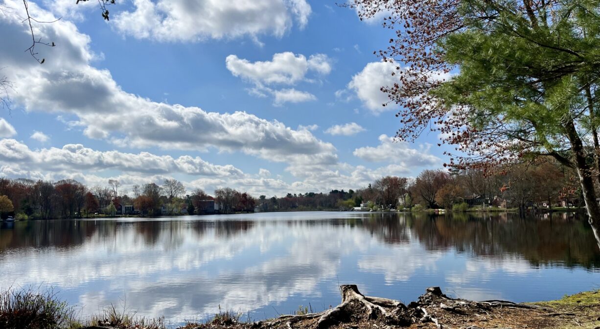 A photograph of a lake reflecting a cloudy blue sky, with trees along its shore.
