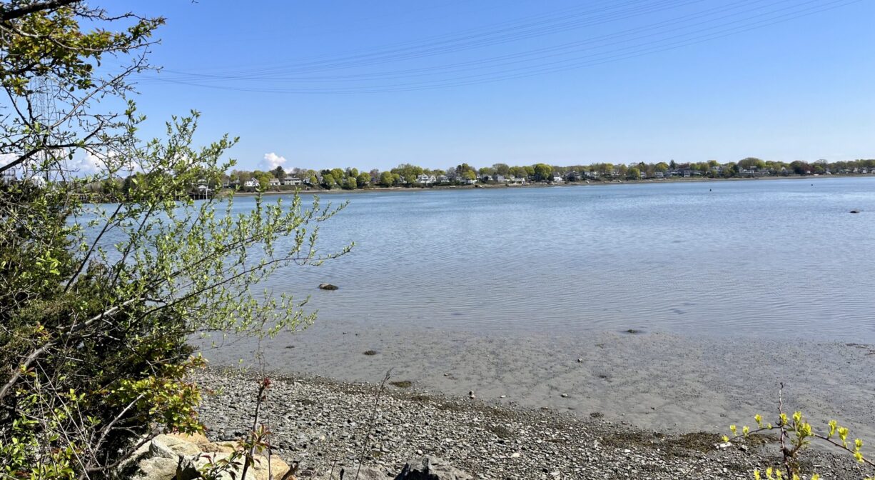 A scenic view of a river with a stony beach in the foreground.