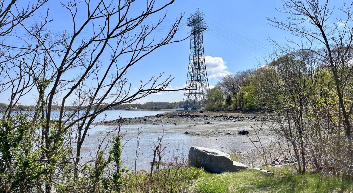 A photograph of a beach area on a river with trees and a tower in the distance.