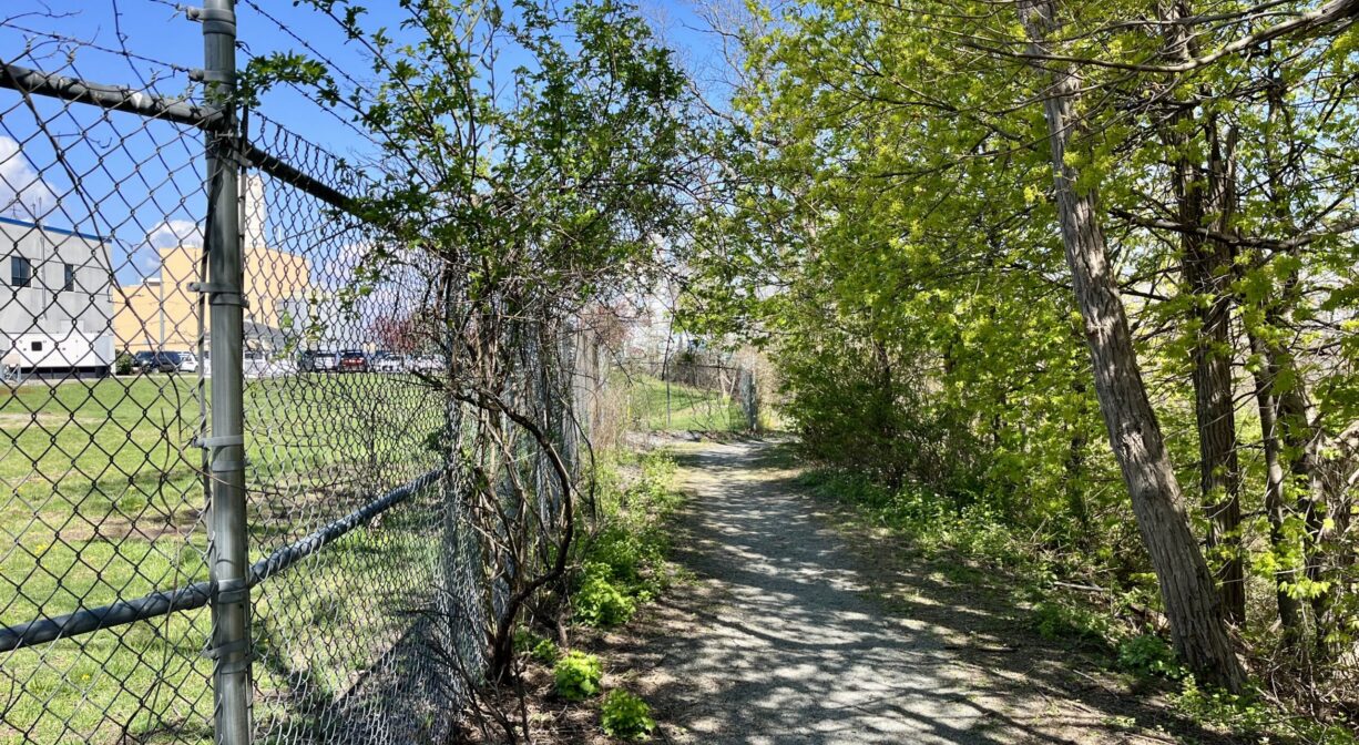 A photograph of a wide trail through a grassy area with fence on one side and trees on the other.